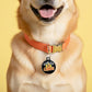 Funny Dog Charm & Pet ID Tag - Fueled by Chaos: Collar Charm (Blank Backside) / Small 1"