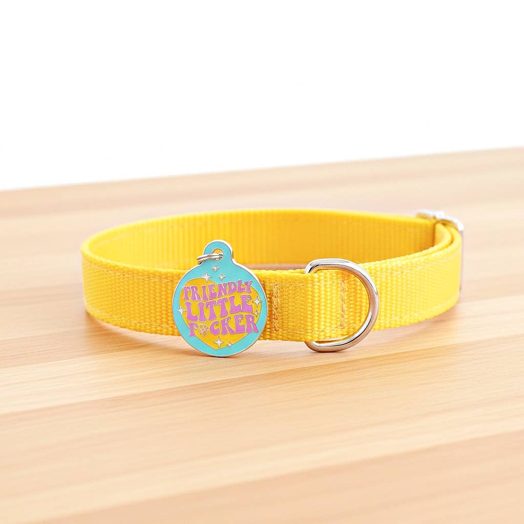 Funny Dog Charm & Pet ID Tag - Friendly Little F*cker: Collar Charm (blank backside) / Small 1"