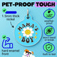 Cute Pet Tag & Dog Collar Charm - Mama's Boy *Blue: Collar Charm (blank backside) / Small 1"
