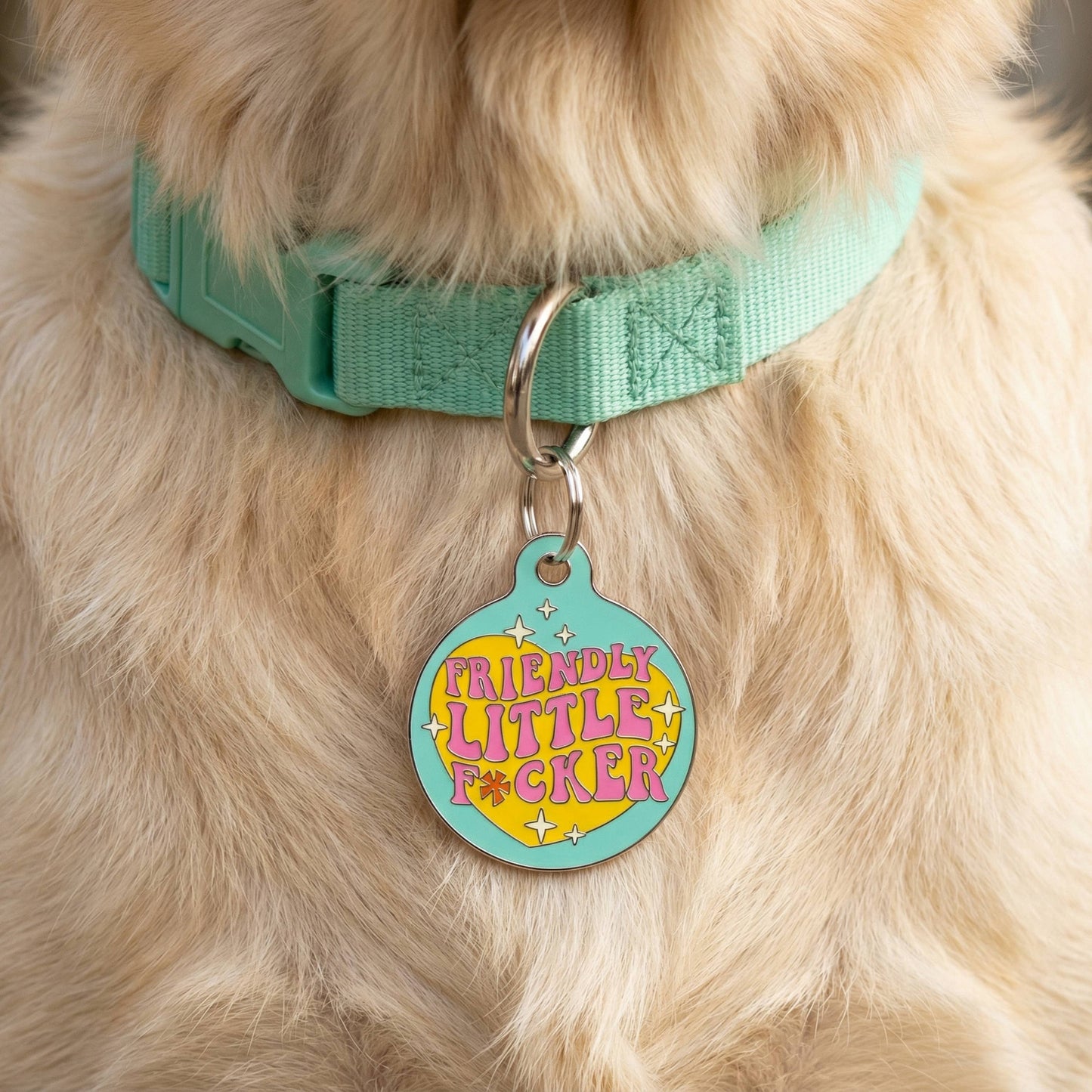 Funny Dog Charm & Pet ID Tag - Friendly Little F*cker: Collar Charm (blank backside) / Small 1"