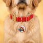 Funny Dog Tag Charm & Pet ID Tag - I Chunky Dunk: Small / Charm