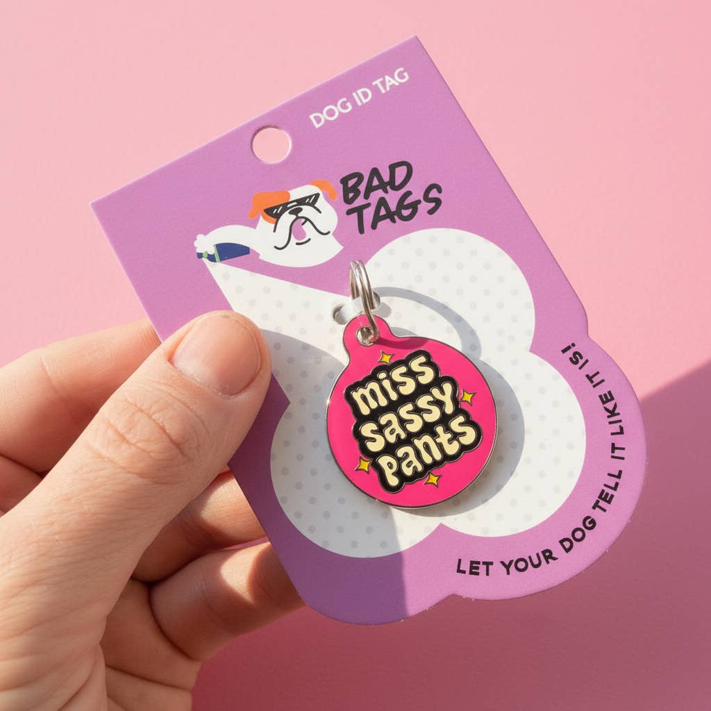 Funny Dog Charm & Pet ID Tag Accessory - Miss Sassy Pants: Collar Charm (blank backside) / Large 1.25"