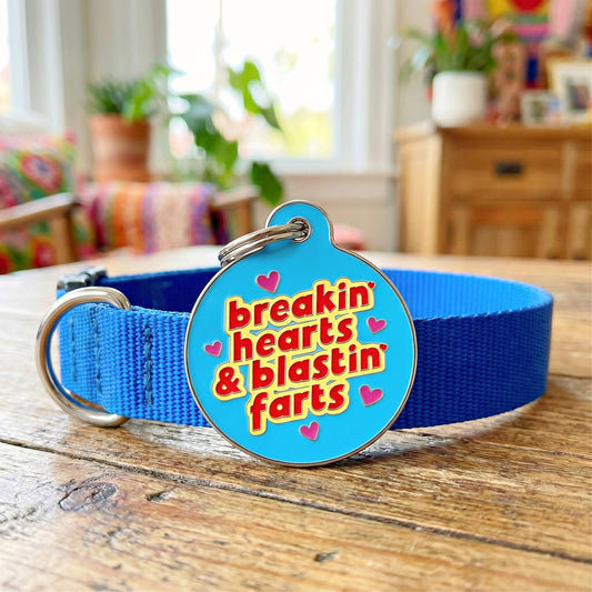 Funny Dog Charm & Pet ID Tag - Breakin Hearts, Blastin Farts: Collar Charm (blank backside) / Small 1"