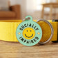 Funny Dog Charm & Pet ID Tag - Socially Impaired *Green: Large / Charm (Blank)