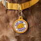 Funny Pet Accessory & Dog Tag Charm - Slut for Cheese: Collar Charm (blank backside) / Small 1"