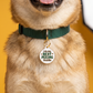 Funny Dog Tag Charm & Pet ID - I Do my Best Peeing Inside: Small / Charm