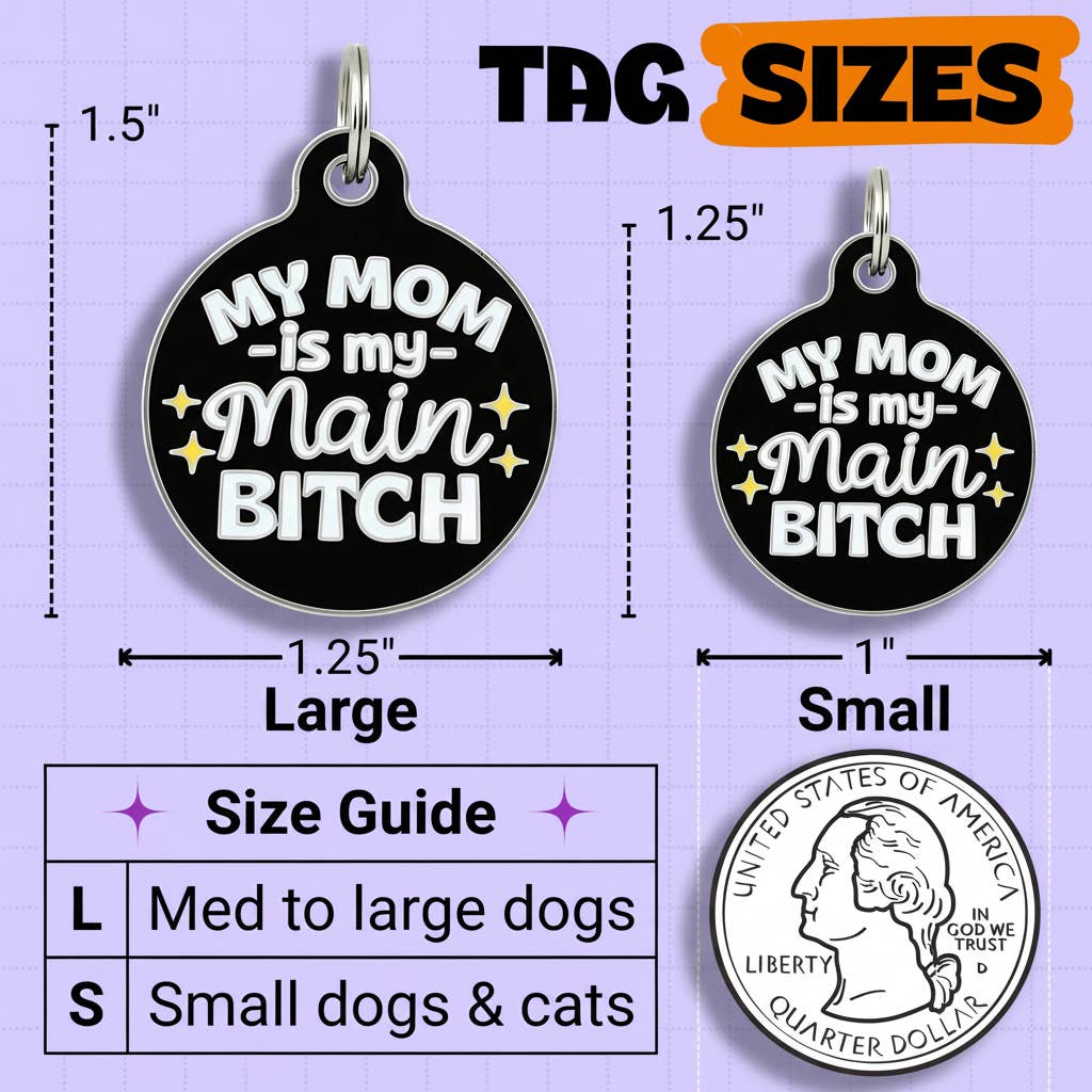 Funny Dog Tag Collar Charm & Pet ID - Mom is my Main Bitch: Small / Collar Charm (Blank Backside)